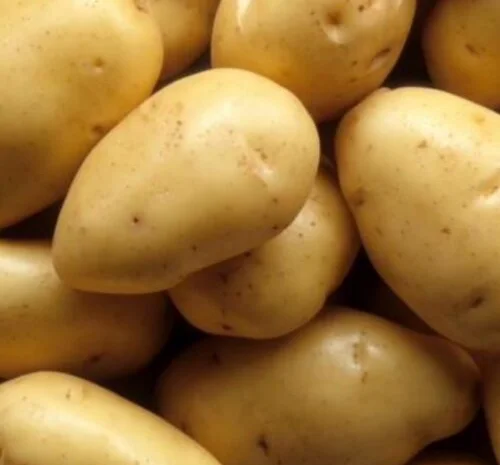 Якісна картопля оптом у Вінниці- фото № 1