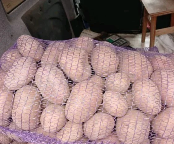 Продам домашнюю картошку Королева Анна белороса- фото № 2