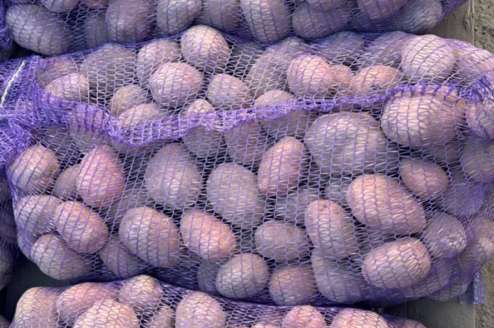 Куплю картошку домашнюю и фермерскую- фото № 1