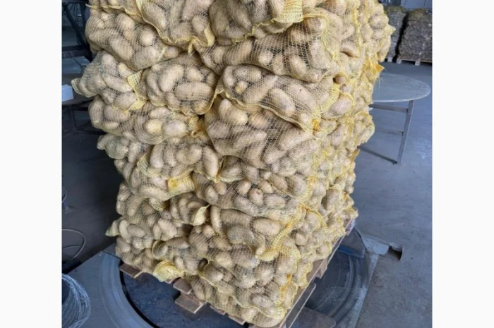 Продаж картоплі різних сортів- фото № 1