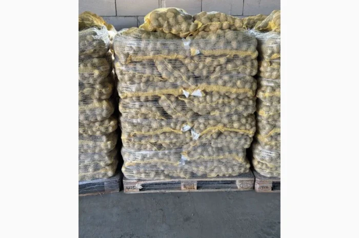 Продаж картоплі різних сортів- фото № 2