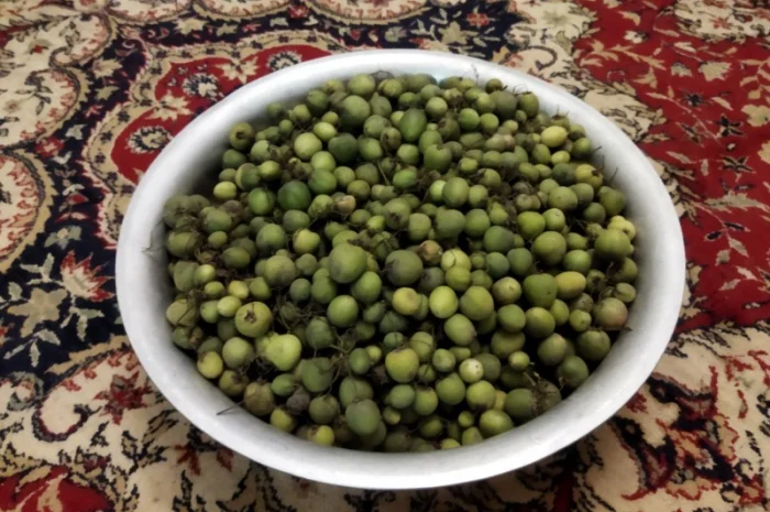 Насіння картоплі для посіву- фото № 5