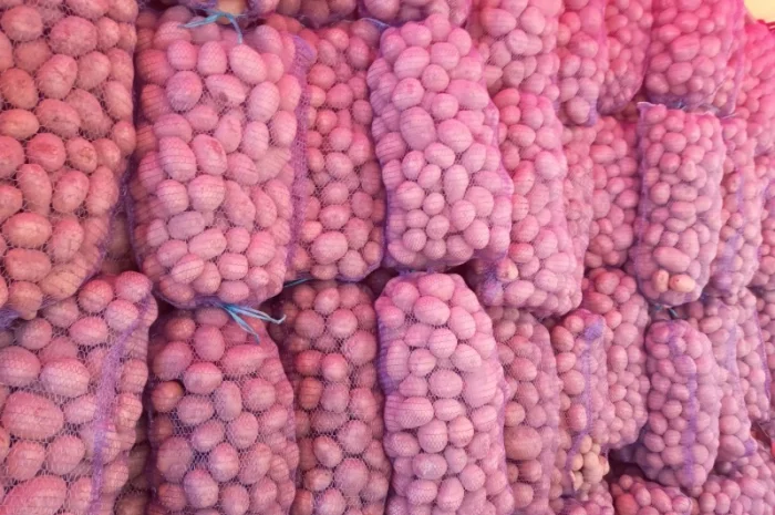 Продаю картофель различных сортов- фото № 3