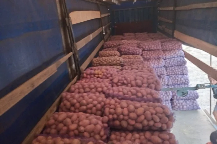 Куплю картоплю білароса та арізона- фото № 1