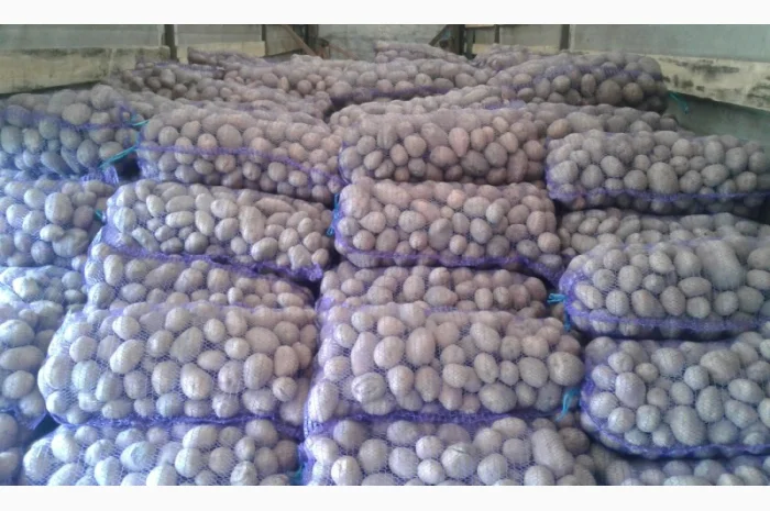 Продажа картофеля, большой выбор сортов- фото № 1