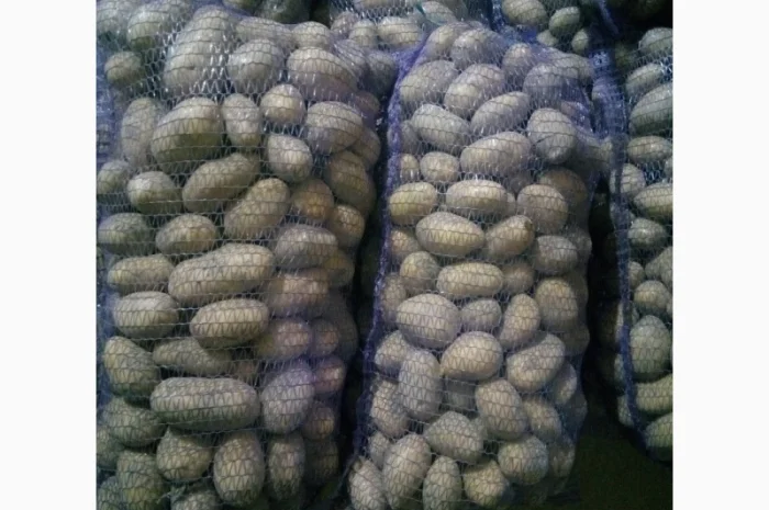 Продажа картофеля, большой выбор сортов- фото № 4