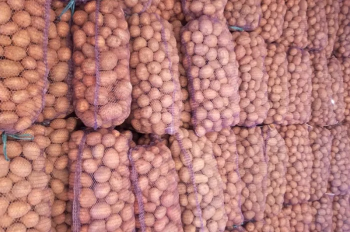 Продажа картофеля, большой выбор сортов- фото № 5