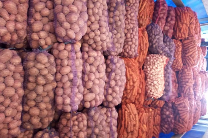 Продажа картофеля, большой выбор сортов- фото № 7