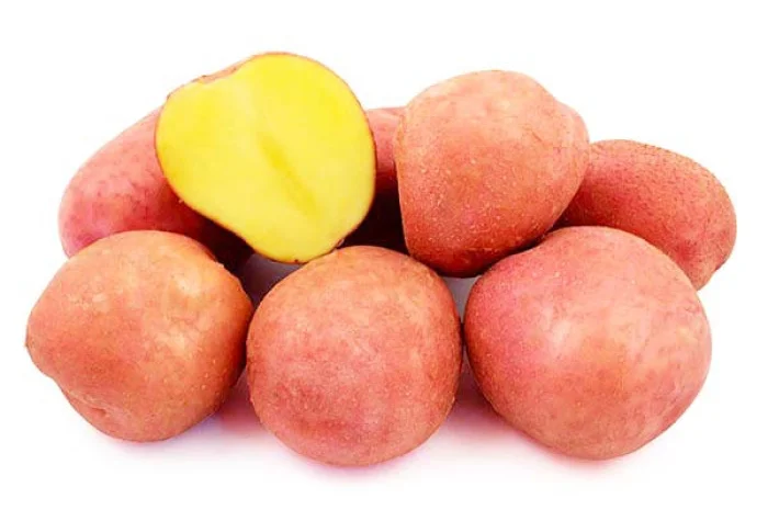 Реалізація насінневої картоплі. Сорт Беллароза. Перша репродукція. Роздріб від 20 кг- фото № 1