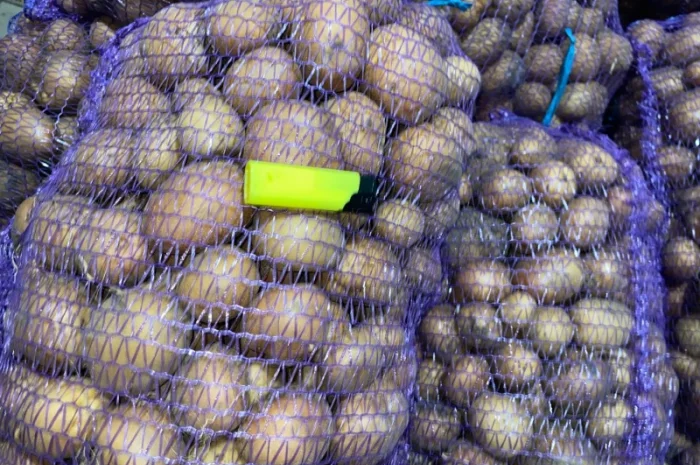 Картошка опт- фото № 2