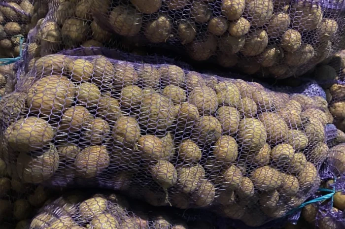 Картошка опт- фото № 6