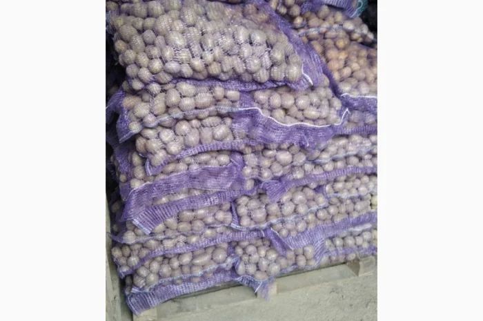 Продажа семенной картошки Аризона оптом- фото № 1