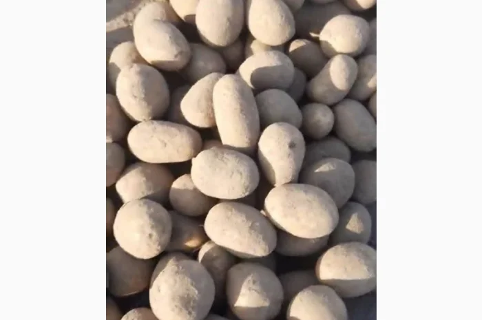 Продаж посадкової картоплі Арізона від 10т- фото № 1