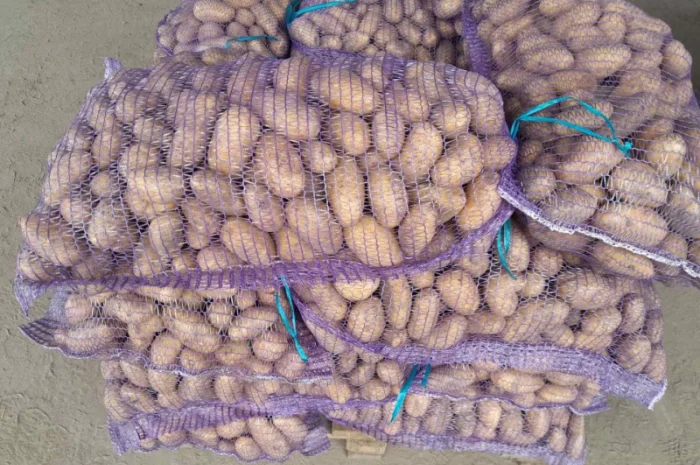 Продаж картоплі сорту Гранада- фото № 3