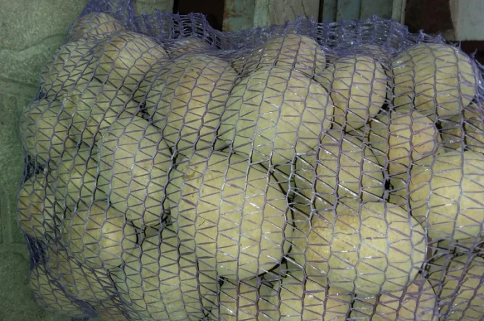 Купляю товарну картошку- фото № 2