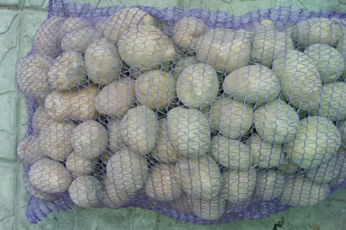 Купляю товарну картошку- фото № 3