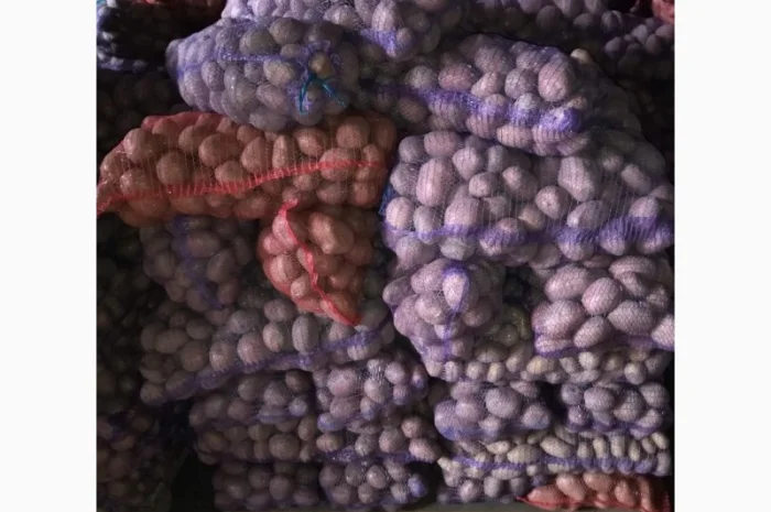 Продаж картоплі Білароса оптом- фото № 1