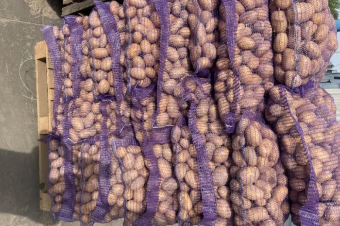 Продаж товарної картоплі 2025 року- фото № 2