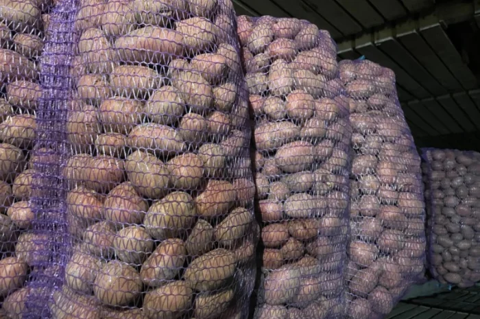 Картопля 2-й сорт за вигідною ціною- фото № 6