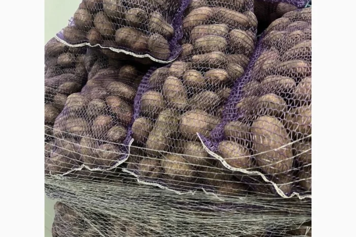 Картопля 2-й сорт за вигідною ціною- фото № 7