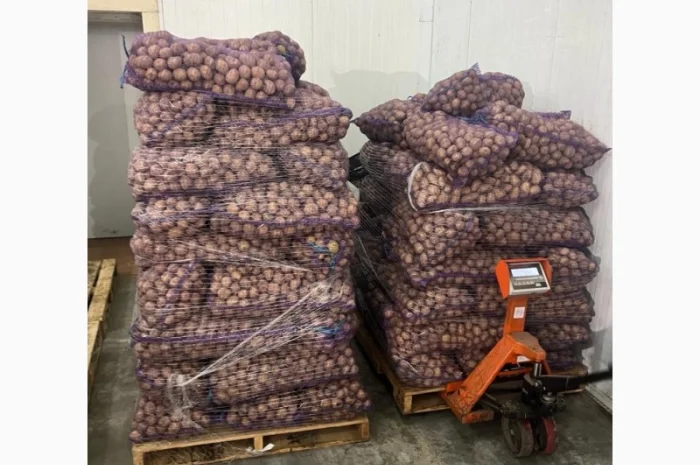 Картопля 2-й сорт за вигідною ціною- фото № 8