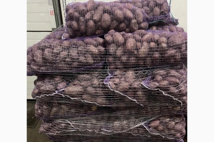 Картопля 2-й сорт за вигідною ціною- фото № 1