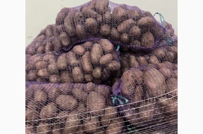 Картопля 2-й сорт за вигідною ціною- фото № 2