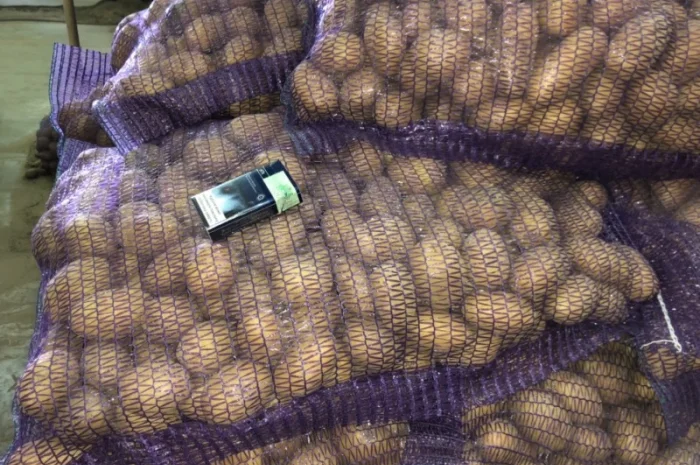 Продажа Товарного и Посадочного картофеля- фото № 1