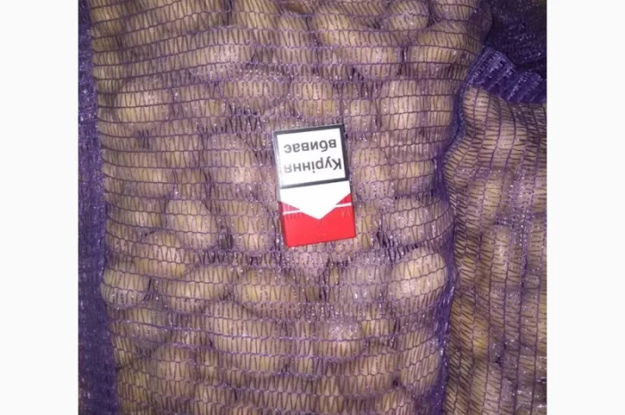 Продажа Товарного и Посадочного картофеля- фото № 2