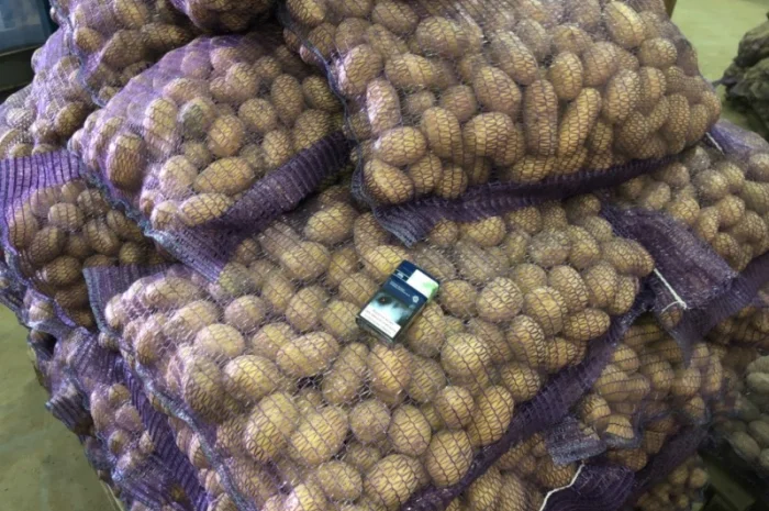 Продажа Товарного и Посадочного картофеля- фото № 3