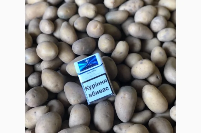 Продажа Товарного и Посадочного картофеля- фото № 4