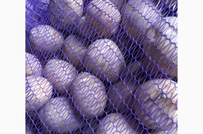 Картопля сорт Гала і Коломбо на продаж- фото № 1