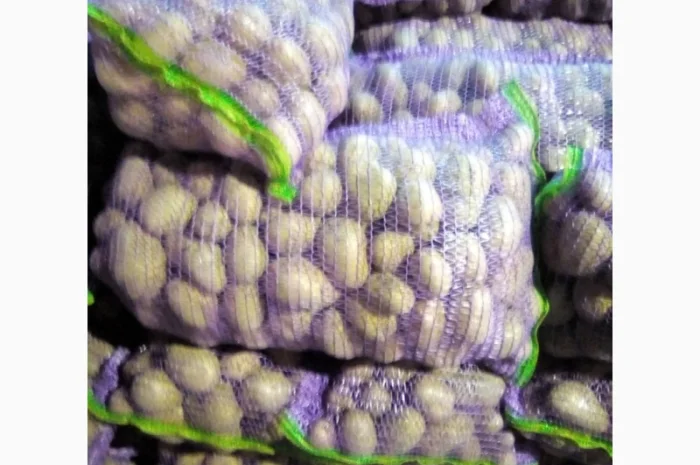 Продажа домашней картошки- фото № 2