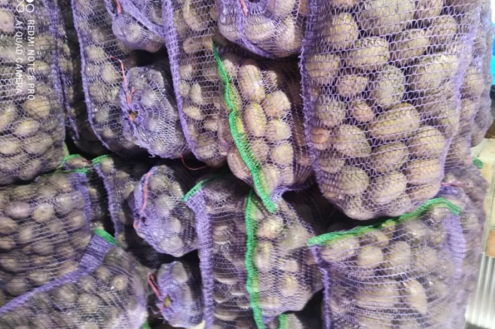 Продажа домашней картошки- фото № 4