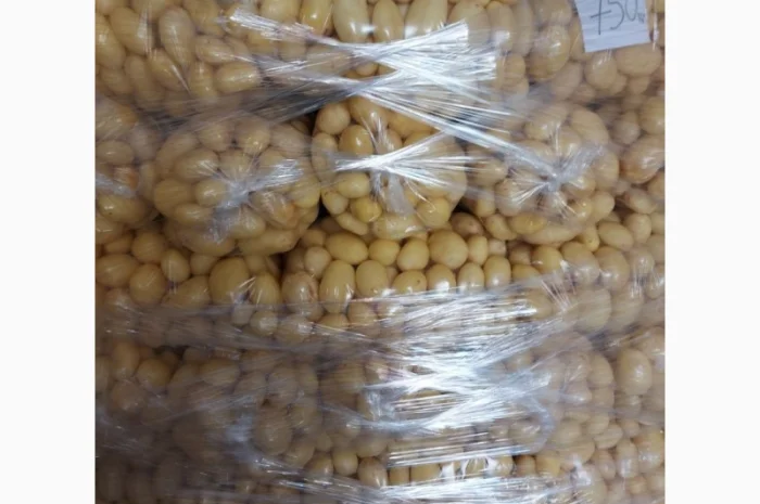 Картошка молодая- фото № 1