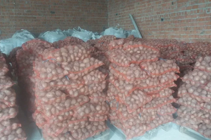 Продам товарний картофель- фото № 2