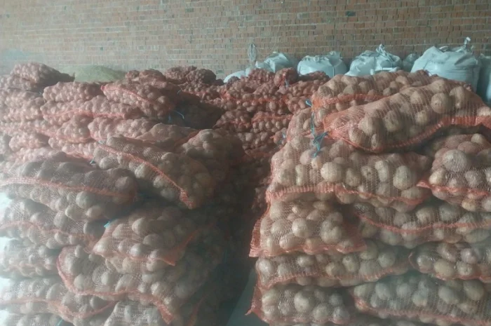 Продам товарний картофель- фото № 3