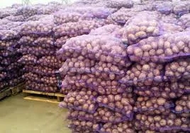 Купуємо картоплю оптом- фото № 2