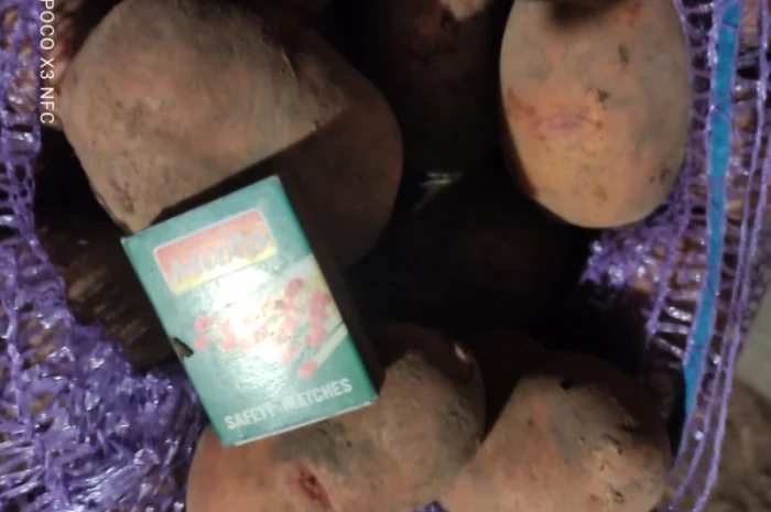 Продаж картоплі сорту Княгиня- фото № 1