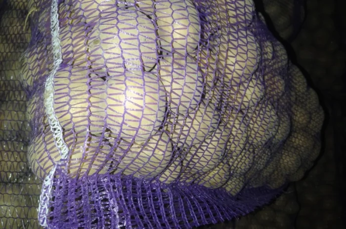 Продам товарну картоплю- фото № 1