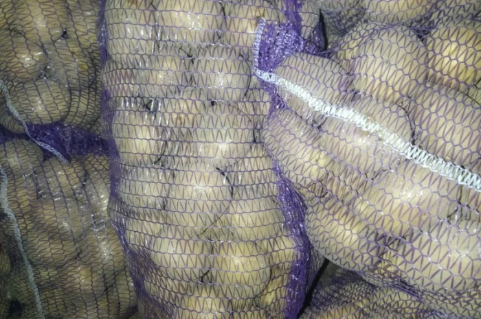 Продам товарну картоплю- фото № 3