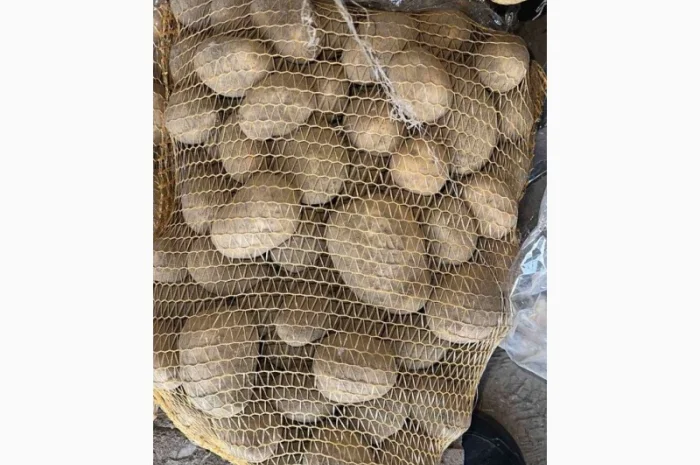 Продам картоплю- фото № 2