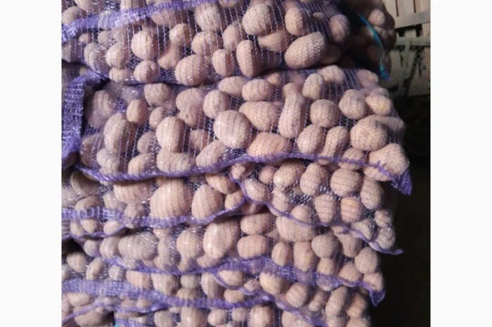 Продам картоплю- фото № 1