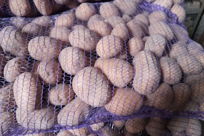 Продам картоплю- фото № 2