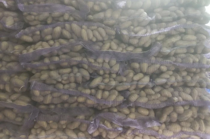 Гранада- фото № 1