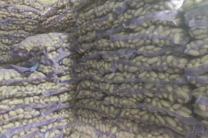 Гранада- фото № 2