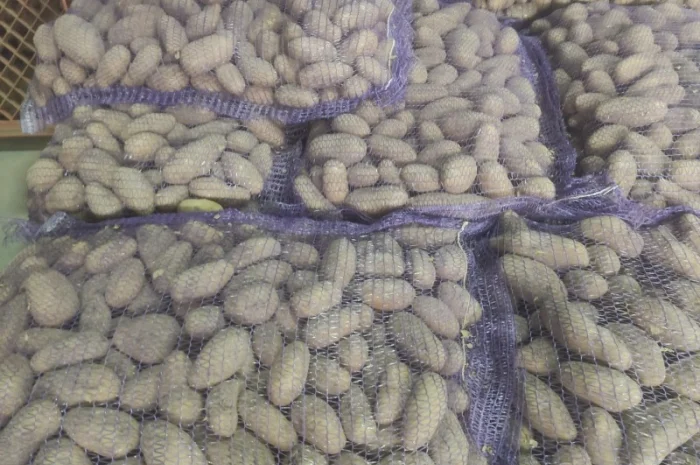 Гранада- фото № 3