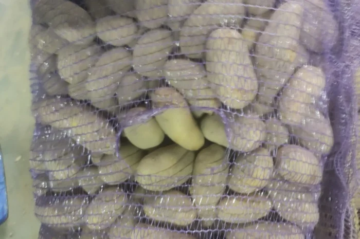 Гранада- фото № 4