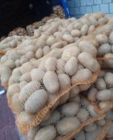 Продаж картоплі опт / власний імпорт / з ПДВ (Сорая, Гранада, Королева Анна.)- фото № 2