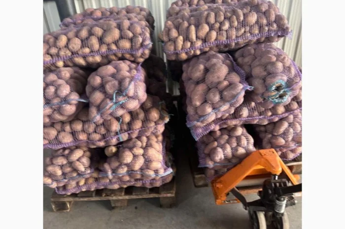 Продам картоплю- фото № 1